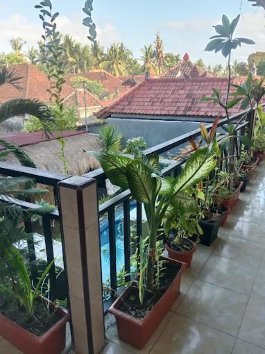 Grace Paradise Guest House Lembongan Buitenkant foto